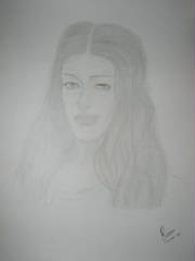 sketch6.jpg